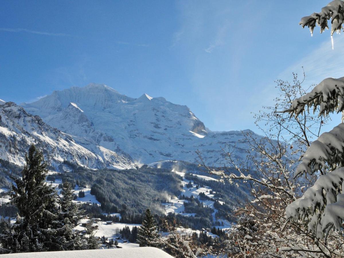 Apartment Breithorn-Residence-3 By Interhome Wengen Dış mekan fotoğraf